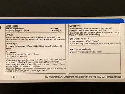 Active Ingredient (Hand Sanitizer Label   Back)